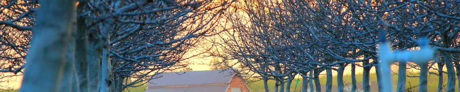 AI & Machine Learning cover image