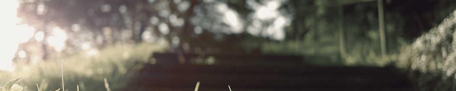 DevOps Engineers cover image