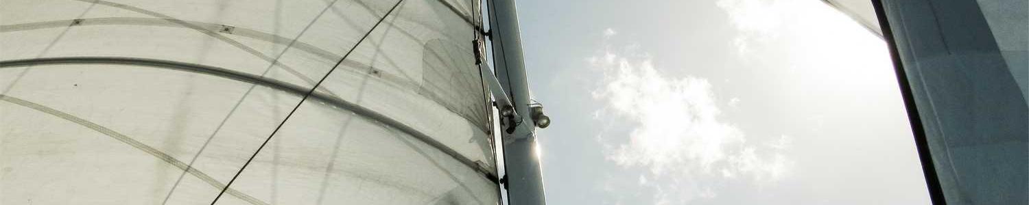 Mobile App Developers cover image