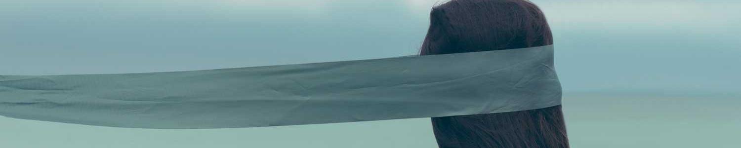 PHP fejlesztő cover image