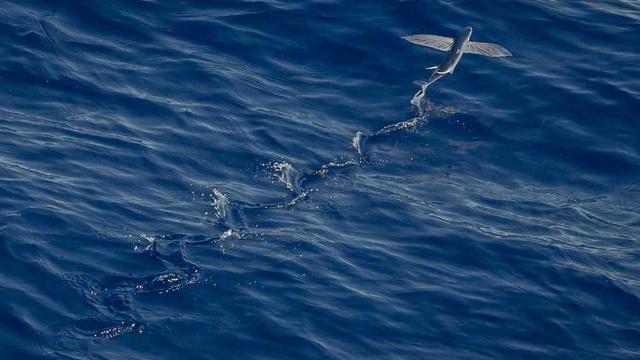 Fontos frissítés a rendszerben